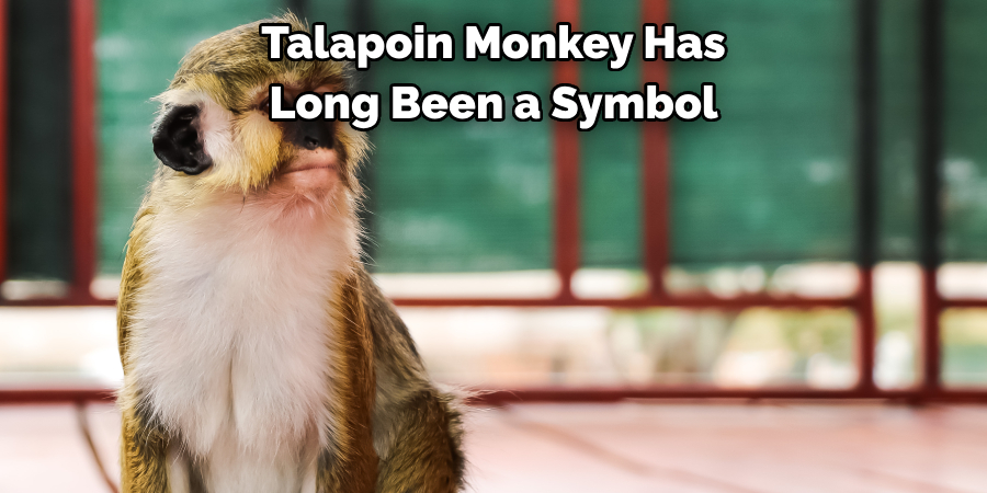 Talapoin Monkey Has Long Been a Symbol