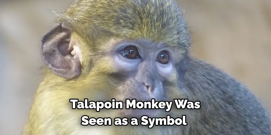 Talapoin Monkey Was 
Seen as a Symbol 