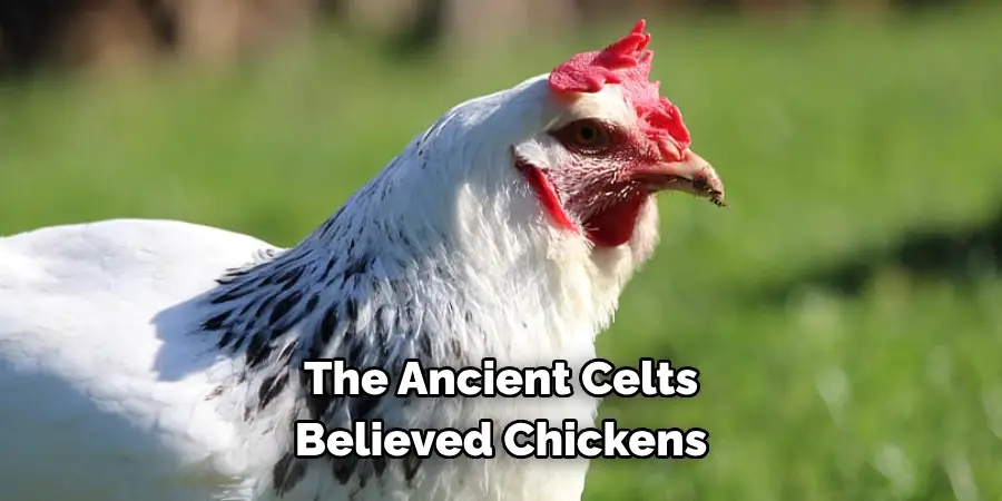 The Ancient Celts 
Believed Chickens