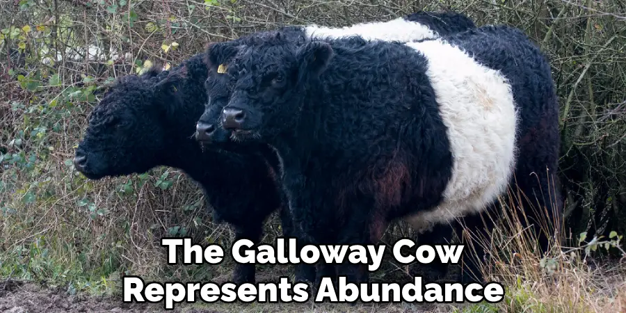 The Galloway Cow Represents Abundance