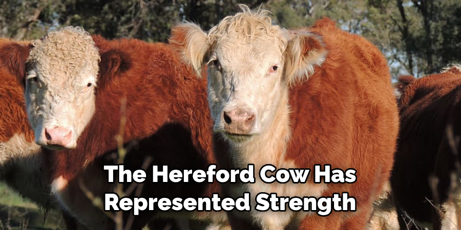 The Hereford Cow Has 
Represented Strength