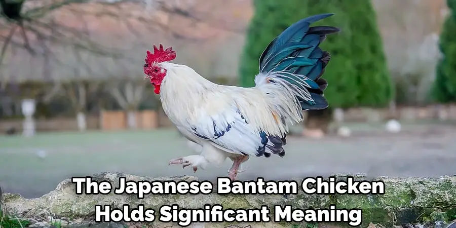 The Japanese Bantam Chicken 
Holds Significant Meaning