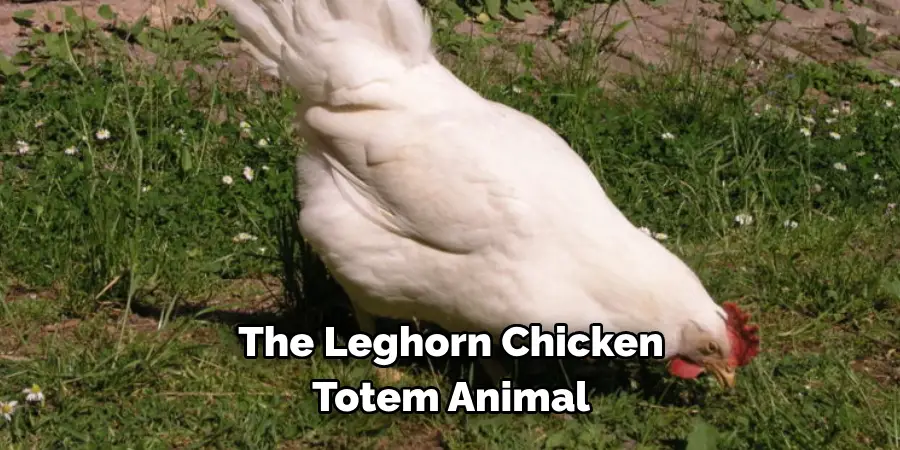 The Leghorn Chicken 
Totem Animal