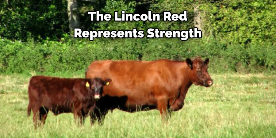 The Lincoln Red 
Represents Strength 