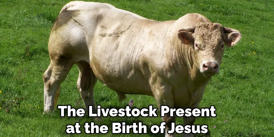 The Livestock Present at the Birth of Jesus