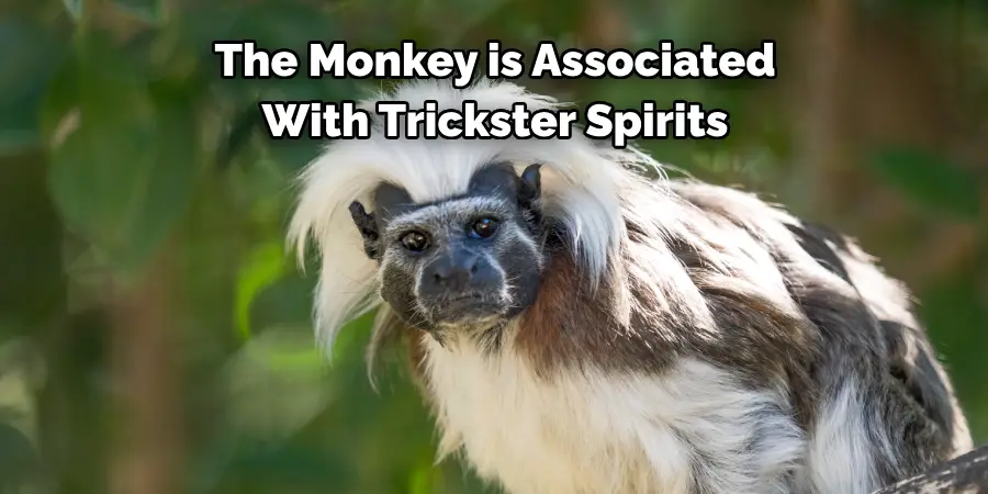 The Monkey is Associated 
With Trickster Spirits