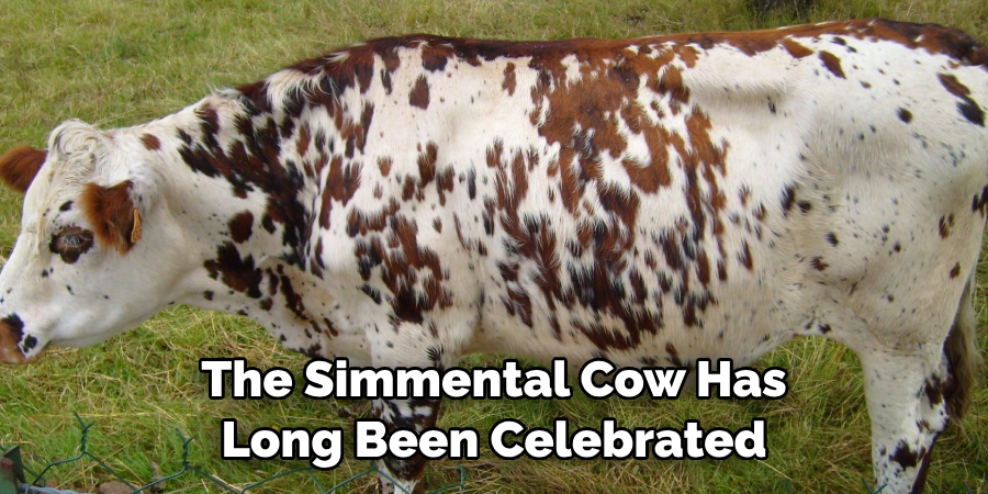 The Simmental Cow Has 
Long Been Celebrated 