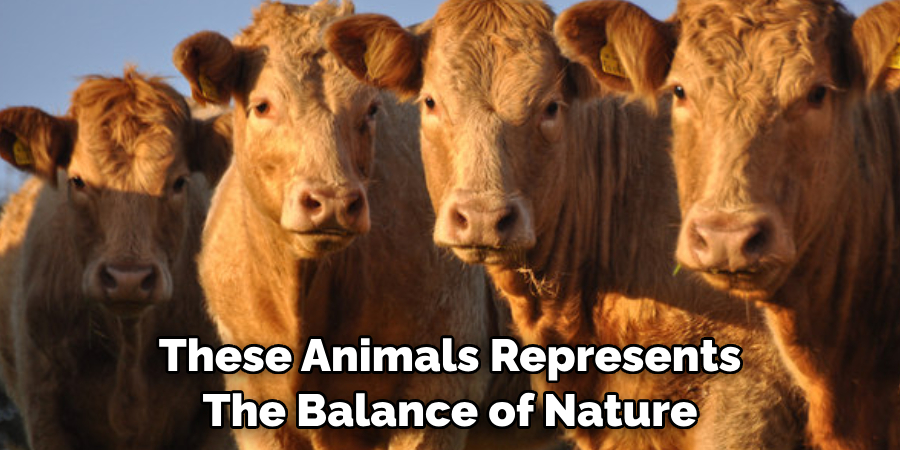 These Animals Represents
The Balance of Nature