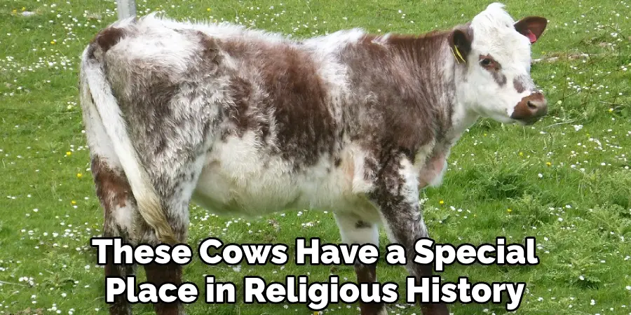 These Cows Have a Special Place in Religious History