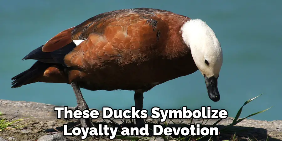 These Ducks Symbolize Loyalty and Devotion