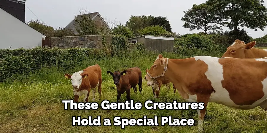 These Gentle Creatures 
Hold a Special Place 