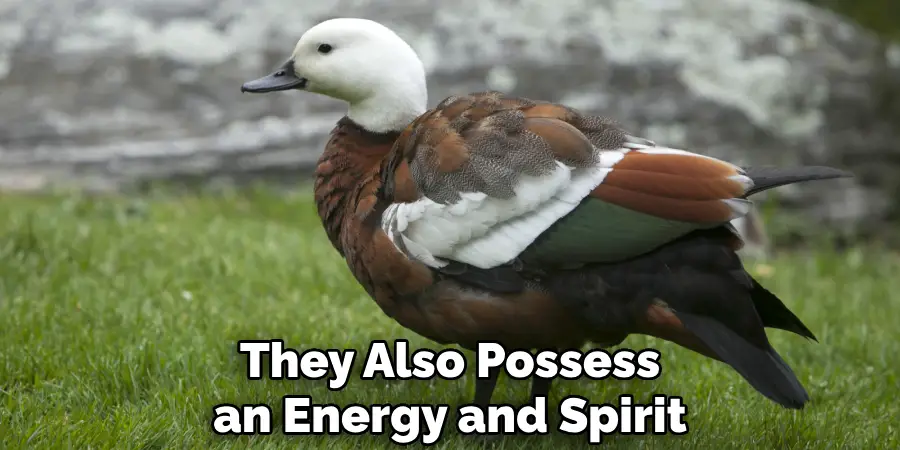 They Also Possess an Energy and Spirit