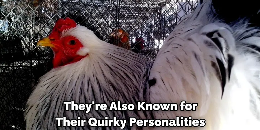 They're Also Known for
Their Quirky Personalities