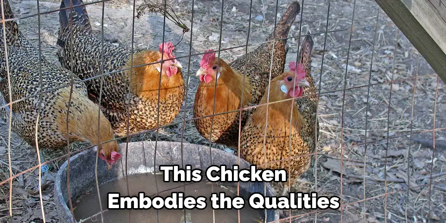 This Chicken 
Embodies the Qualities 