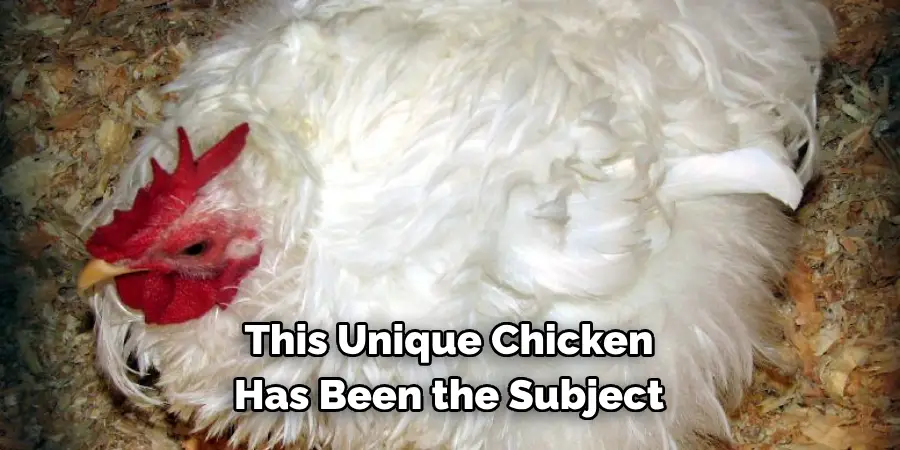 This Unique Chicken 
Has Been the Subject