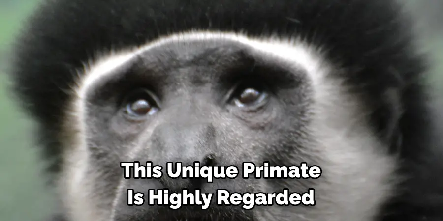 This Unique Primate
Is Highly Regarded