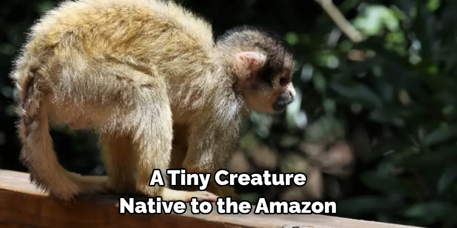 A Tiny Creature 
Native to the Amazon