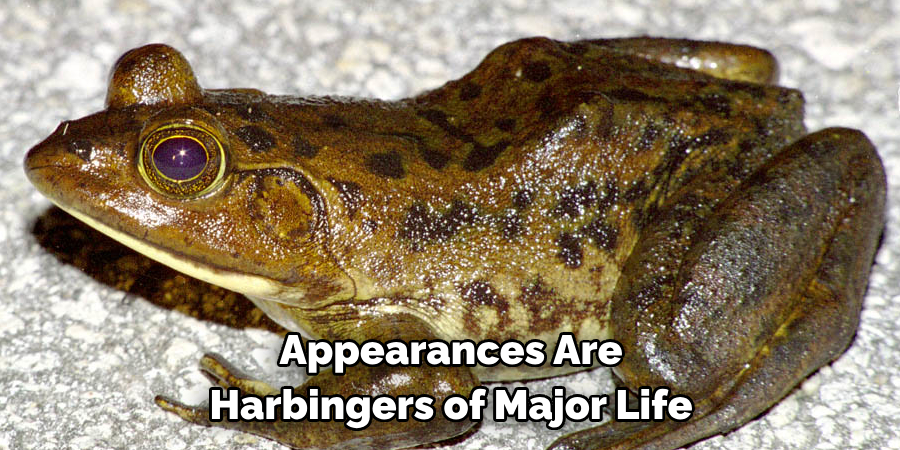 Appearances Are 
Harbingers of Major Life