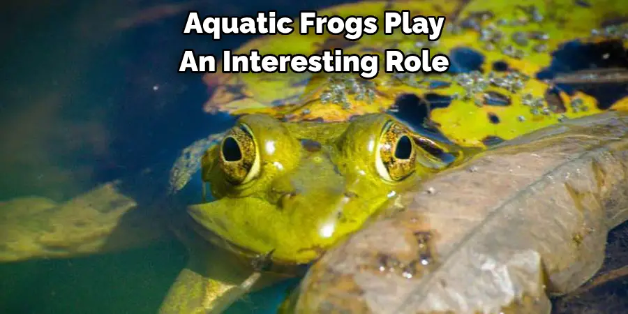 Aquatic Frogs Play 
An Interesting Role