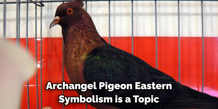 Archangel Pigeon Eastern 
Symbolism is a Topic 