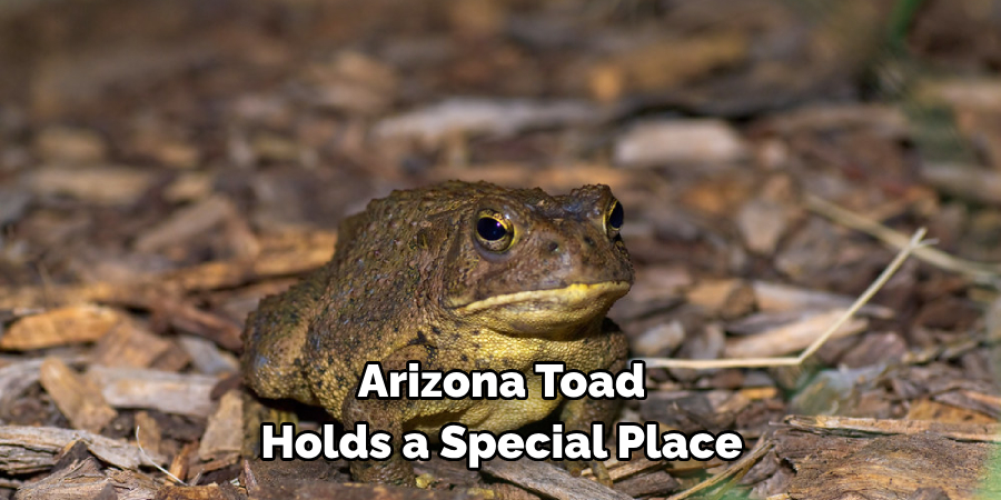 Arizona Toad 
Holds a Special Place