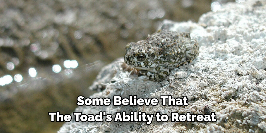 Arroyo Toad Has Become An Important Symbol