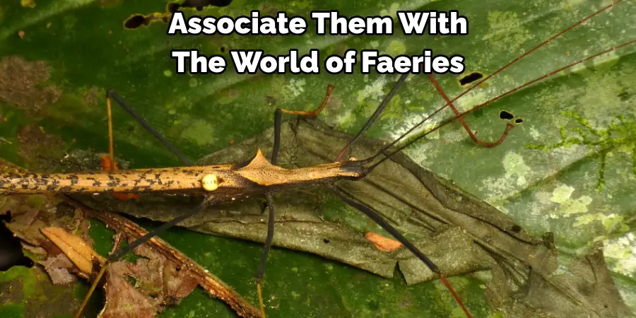 Associate Them With
The World of Faeries