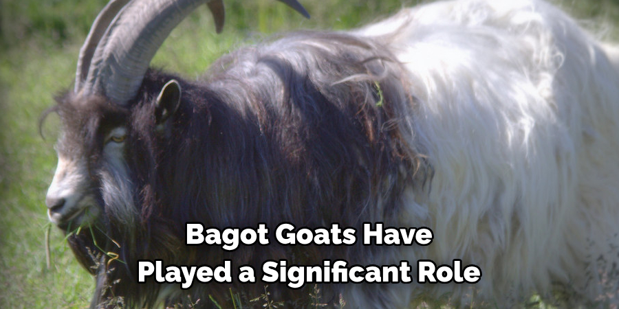 Bagot Goats Have 
Played a Significant Role