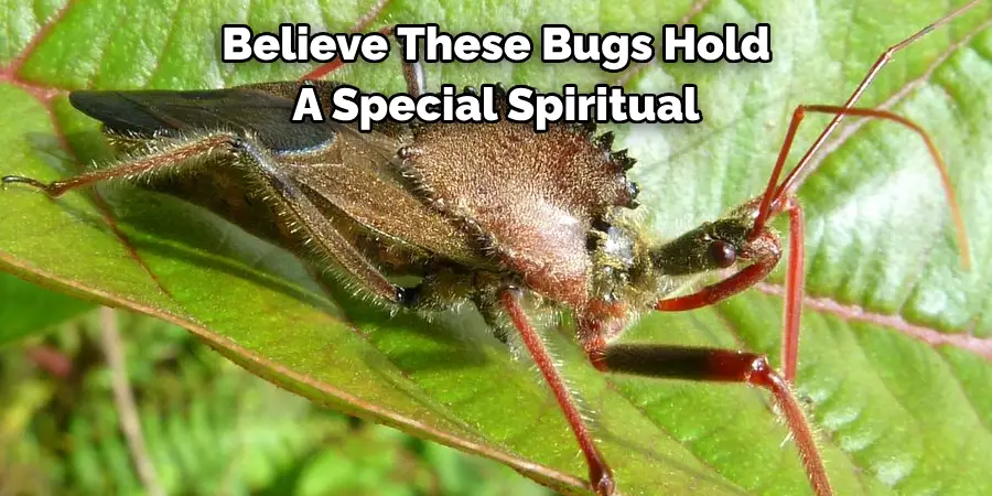 Believe These Bugs Hold 
A Special Spiritual