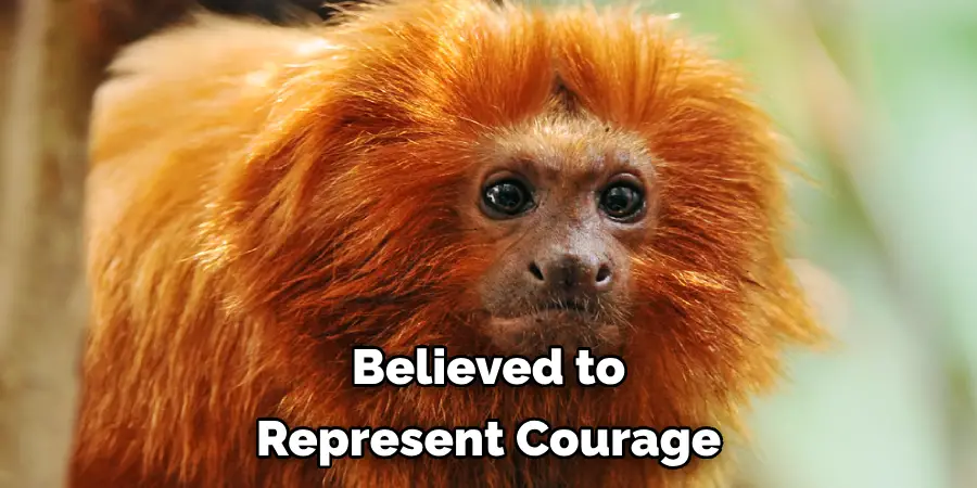 Believed to Represent Courage