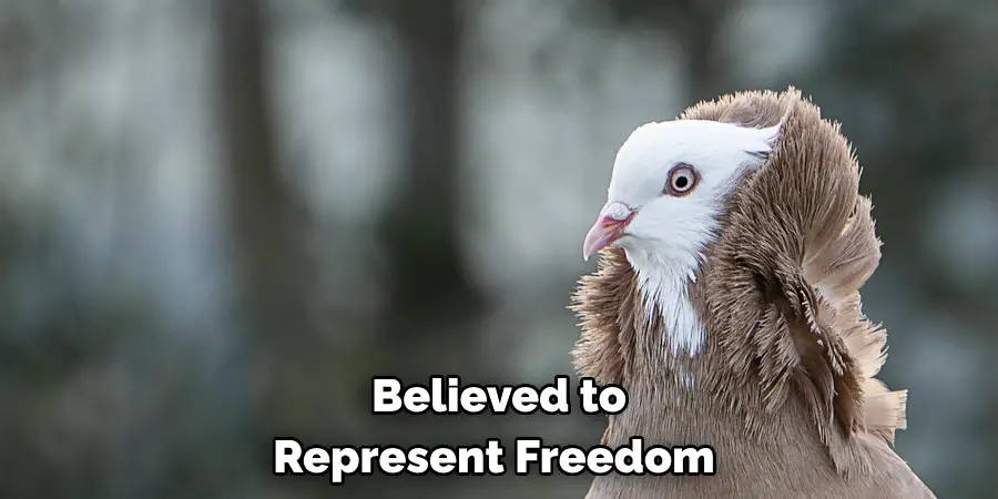 Believed to Represent Freedom 