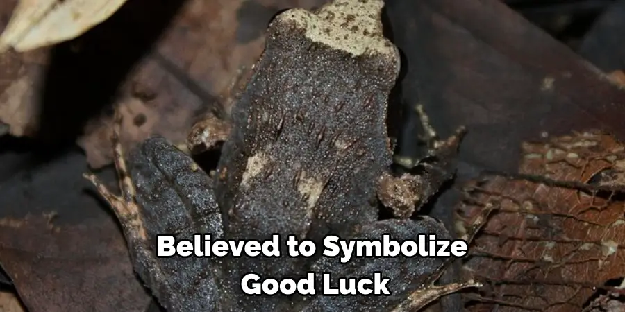 Believed to Symbolize 
Good Luck