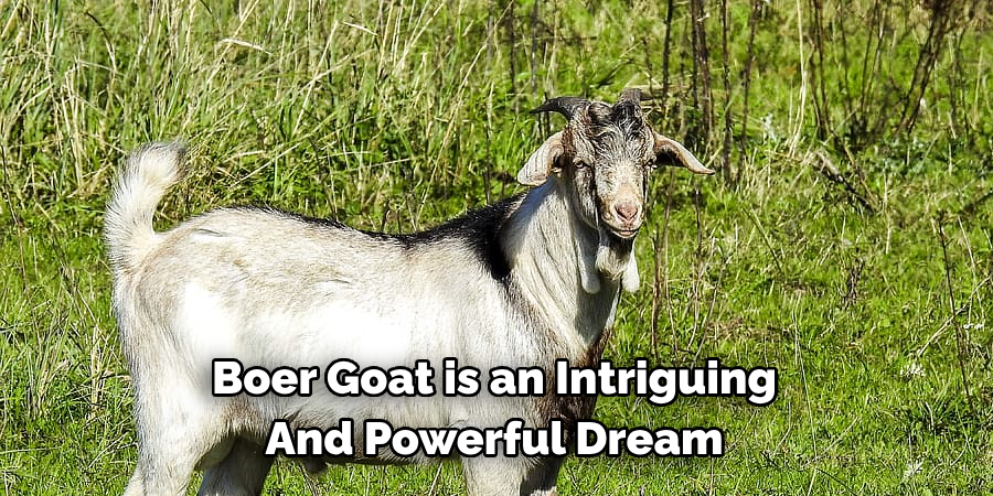 Boer Goat is an Intriguing 
And Powerful Dream