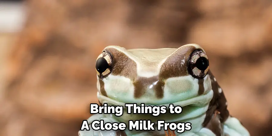 Bring Things to 
A Close Milk Frogs