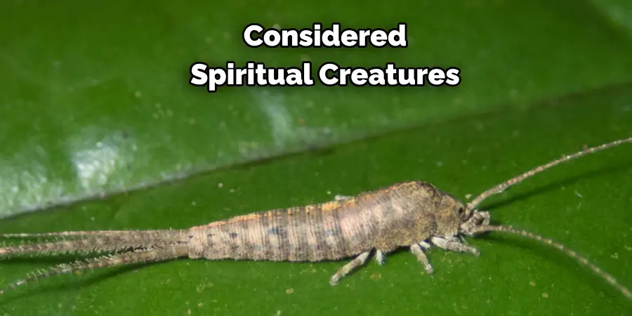 Considered Spiritual Creatures