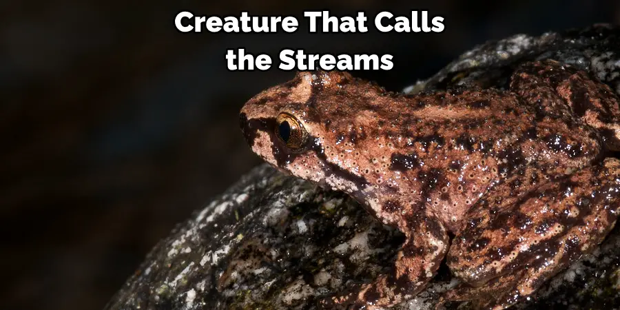 Creature That Calls 
the Streams