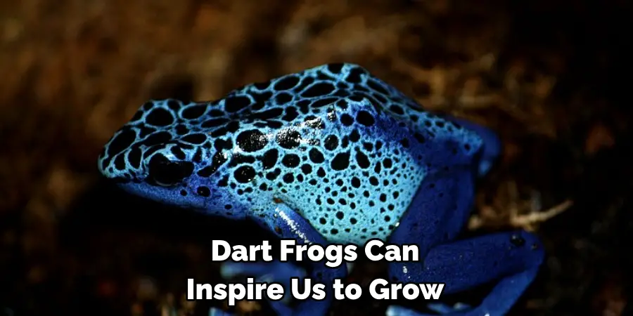 Dart Frogs Can 
Inspire Us to Grow