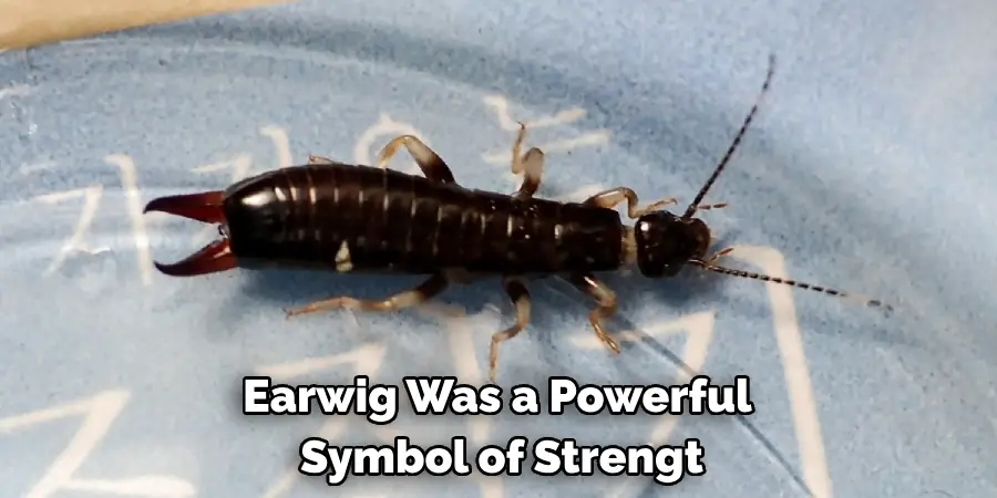 Earwig Was a Powerful 
Symbol of Strengt