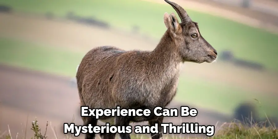 Experience Can Be 
Mysterious and Thrilling