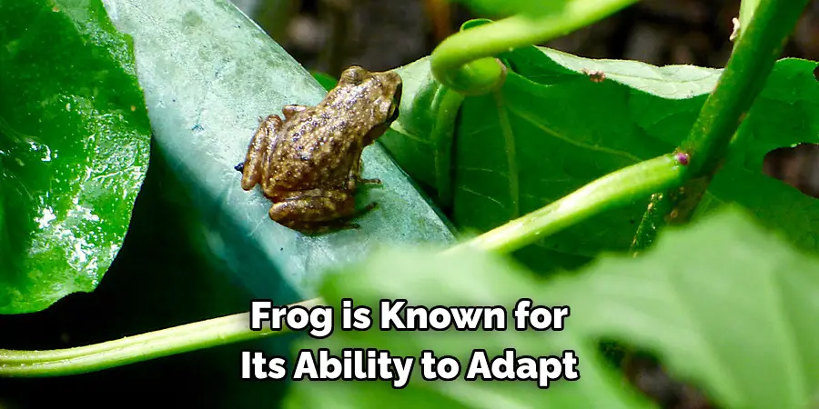 Frog is Known for 
Its Ability to Adapt