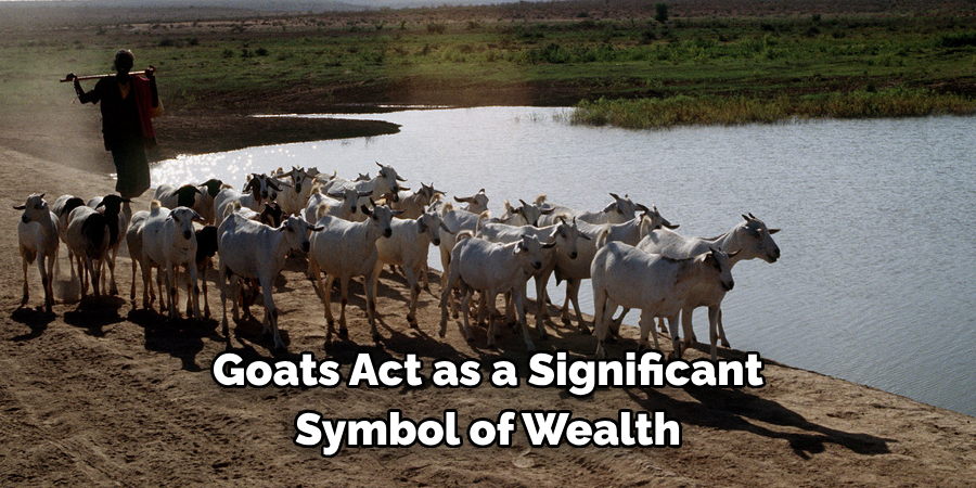 Goats Act as a Significant 
Symbol of Wealth