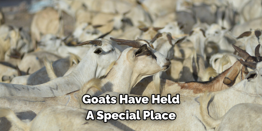 Goats Have Held 
A Special Place