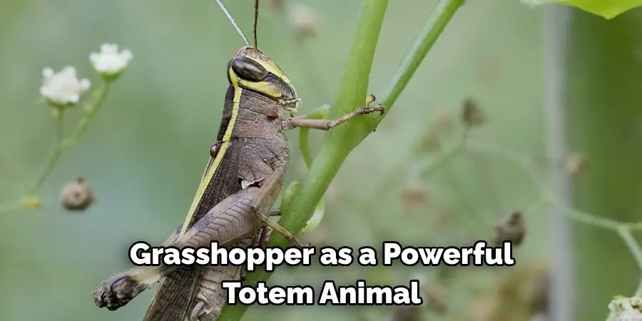 Grasshopper as a Powerful 
Totem Animal