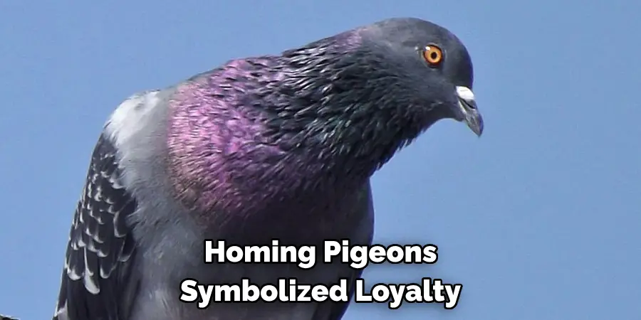 Homing Pigeons 
Symbolized Loyalty