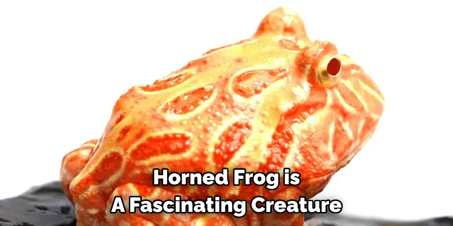 Horned Frog is 
A Fascinating Creature