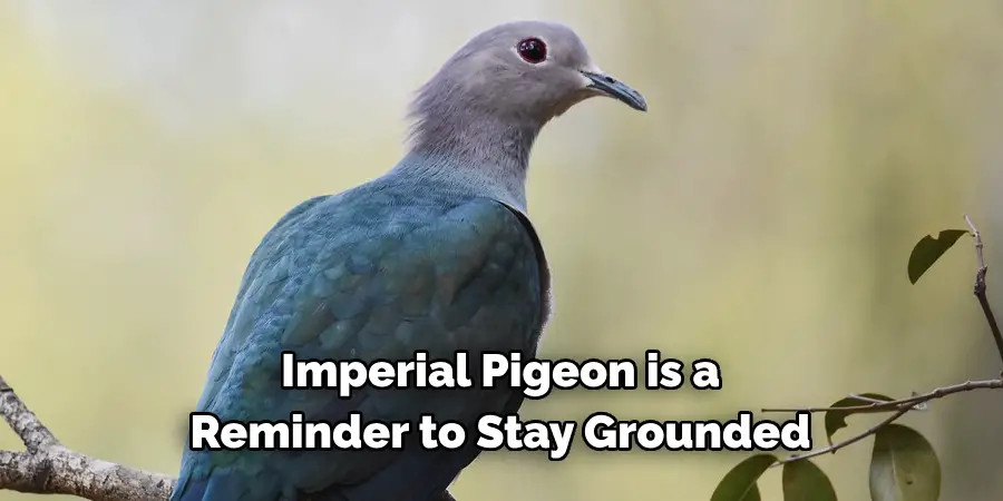 Imperial Pigeon is a 
Reminder to Stay Grounded