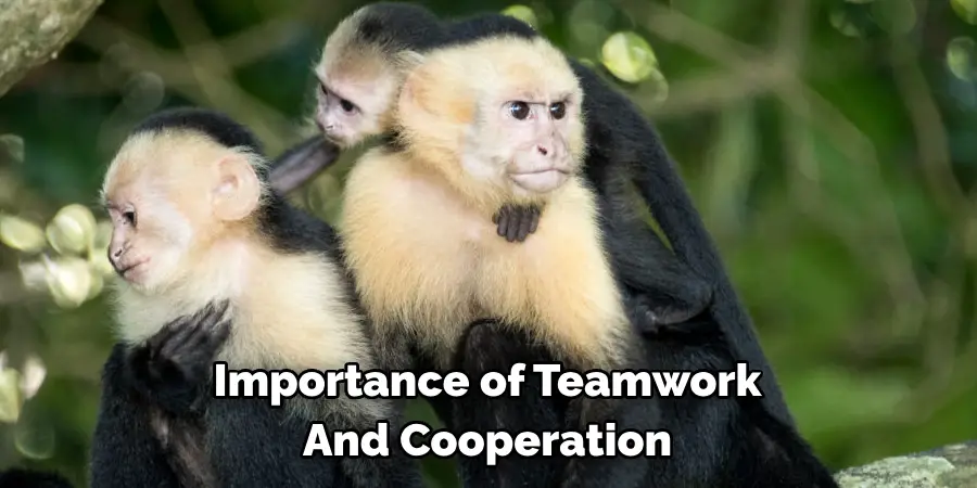 Importance of Teamwork 
And Cooperation