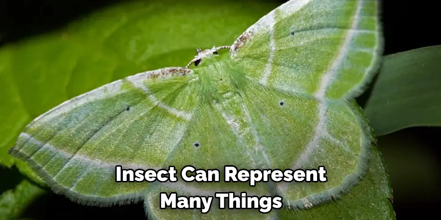 Insect Can Represent 
Many Things