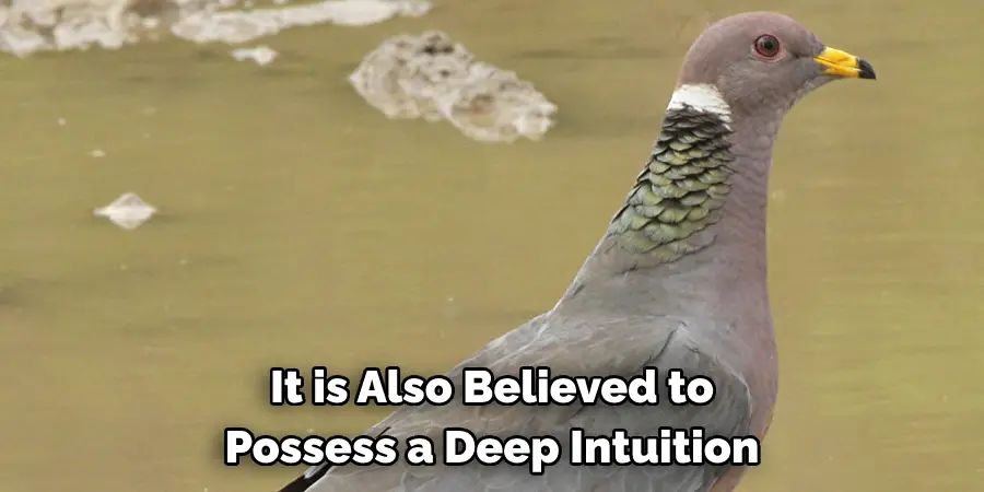 It is Also Believed to 
Possess a Deep Intuition