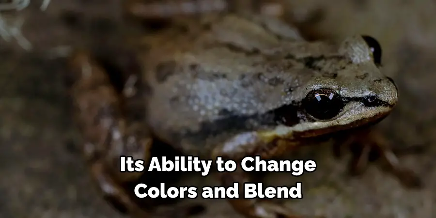 Its Ability to Change Colors and Blend